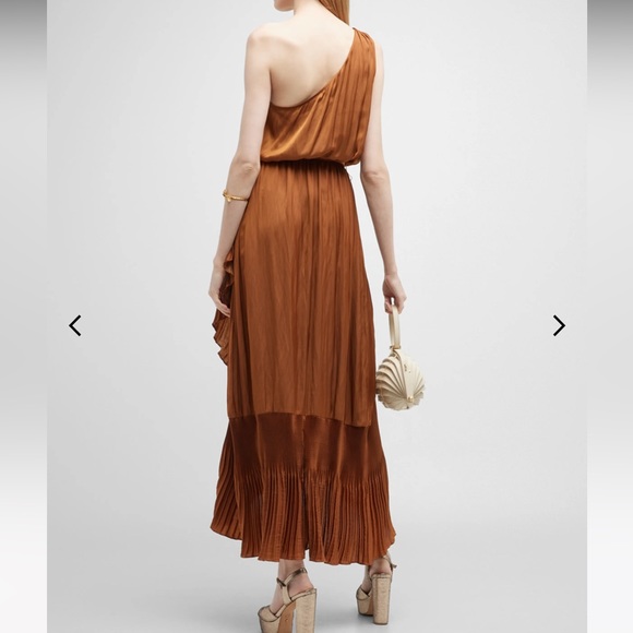 Ramy Brook Nadine Pleated Asymmetric Maxi Dress - Picture 3 of 7